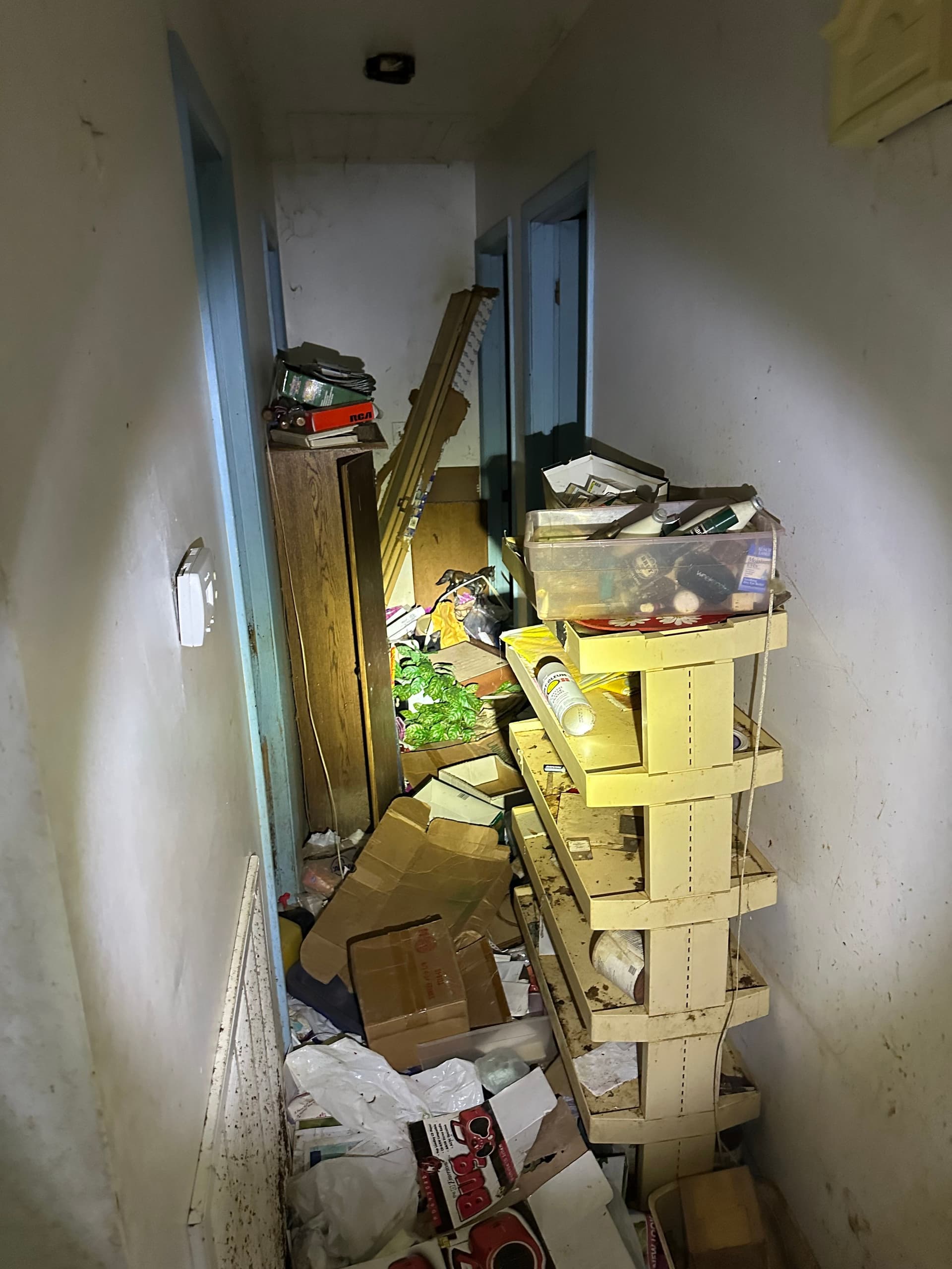 Making Space with Confidence - Junk Removal at Its Finest