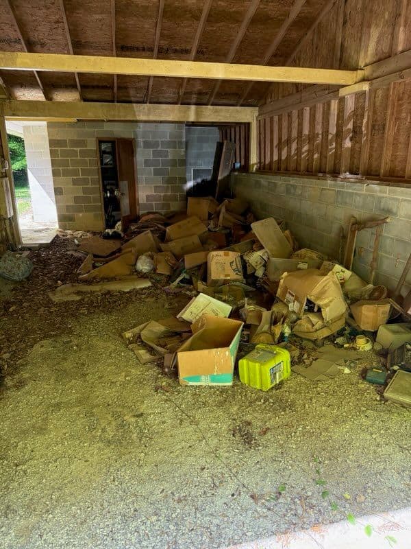 No Mess Too Scary - Let Us Handle Your Halloween Cleanup