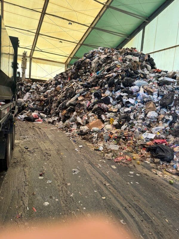 No Mess Too Scary - Let Us Handle Your Halloween Cleanup